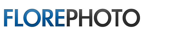 Photography for the Connoisseur by Florian Kriechbaumer – Events | Portrait | Urban | Nature | Videos
